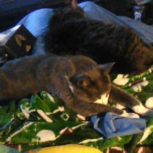 Meet your Posher, Jesse